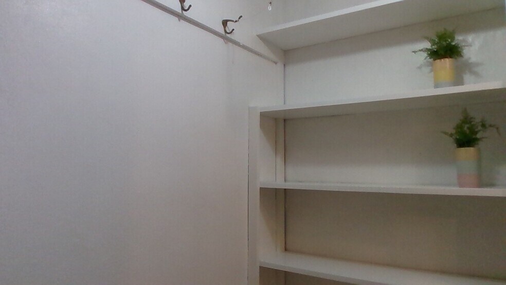 5 shelves under staircase - 102 W College St