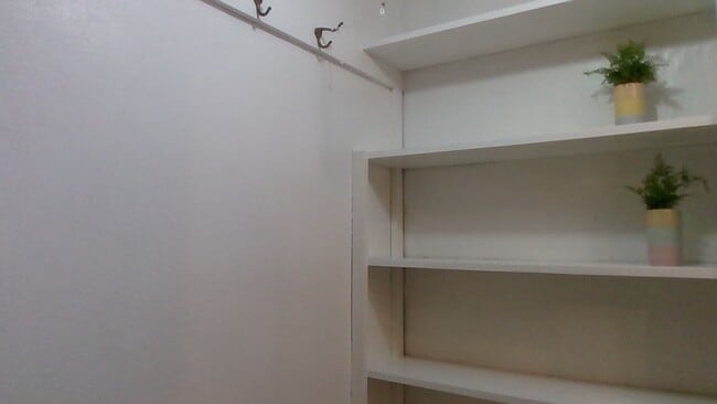 5 shelves under staircase - 102 W College St