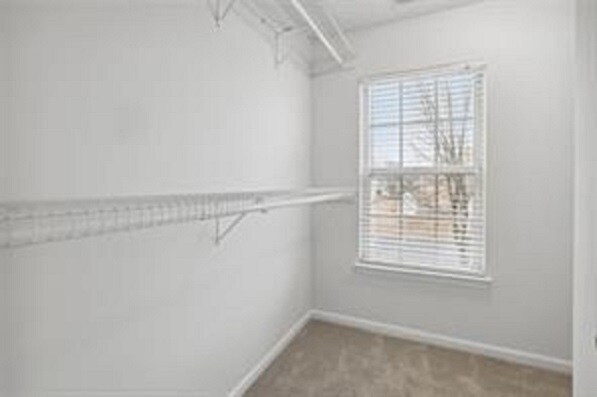 master walk-in closet - 338 Azalea Cir