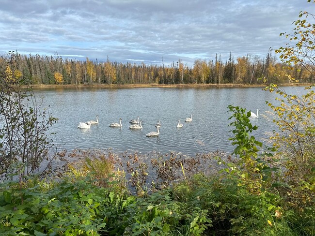 Building Photo - Peaceful Lake life living in this cute uni...