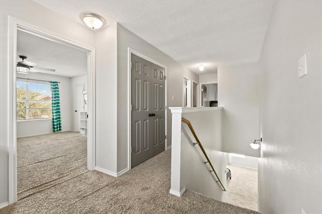 Building Photo - 115 Palomino Ln