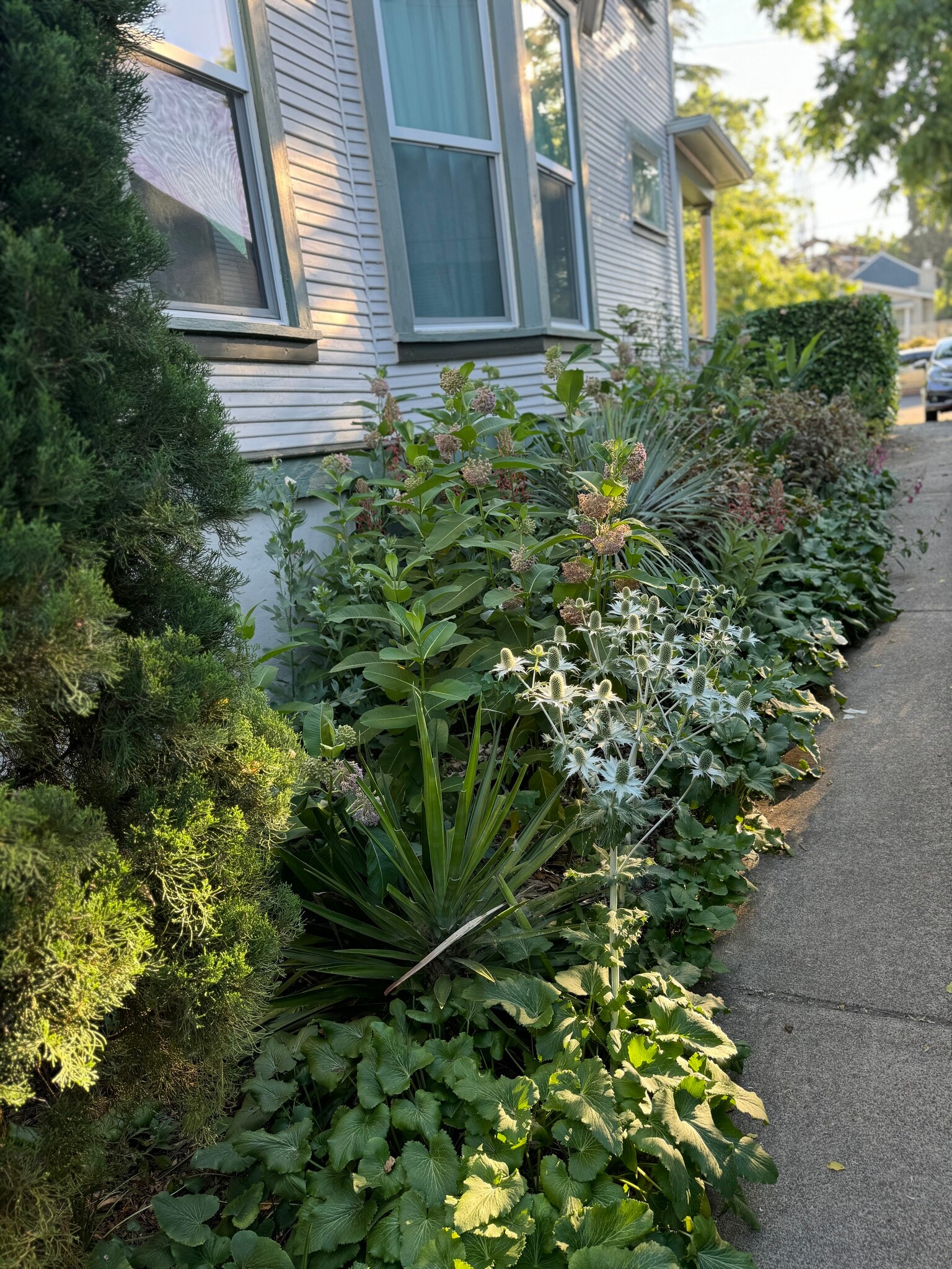Landscaping - 9426 N Edison St