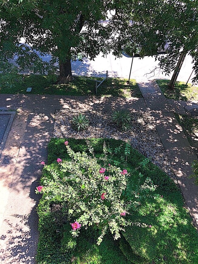 Building Photo - PEARL WEST CAMPUS - LOFTED 2BD/1BA