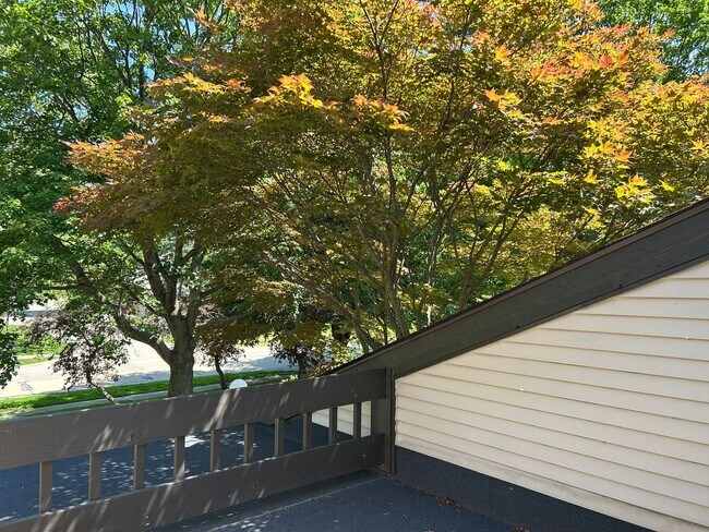 Building Photo - 4456 Donna Dr