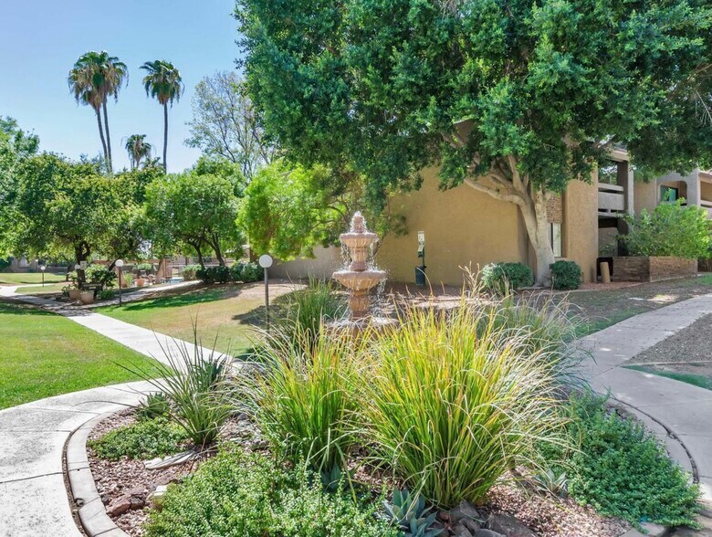 Green areas - 3825 E Camelback Rd