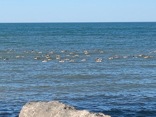 Building Photo - 6588 Shore Acres Dr