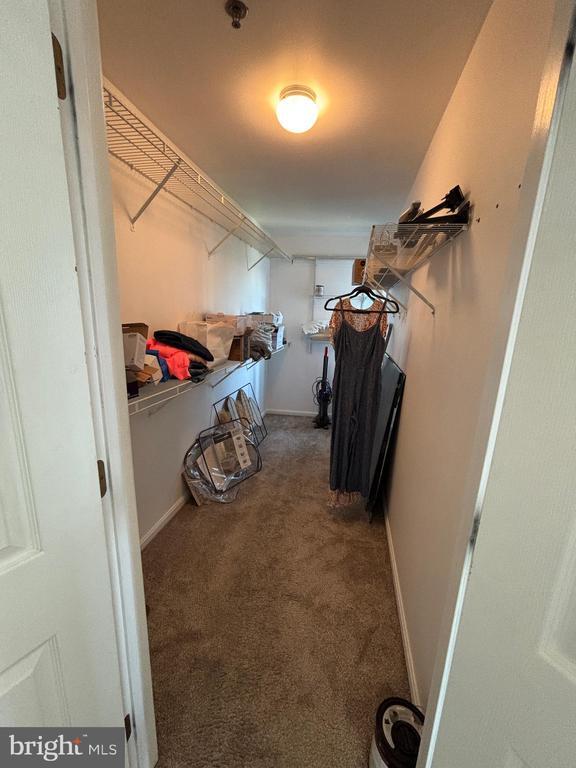 Building Photo - 25 Owens Landing Ct