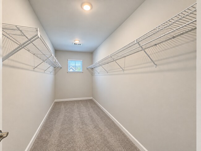 Building Photo - 2123 Sun Vibes Wy