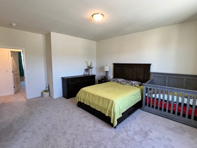 Master Bedroom - 4711 Falcon Rock Ln