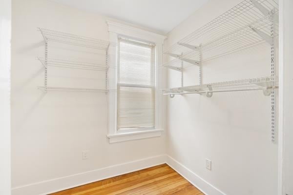 Building Photo - 114 Shippen St