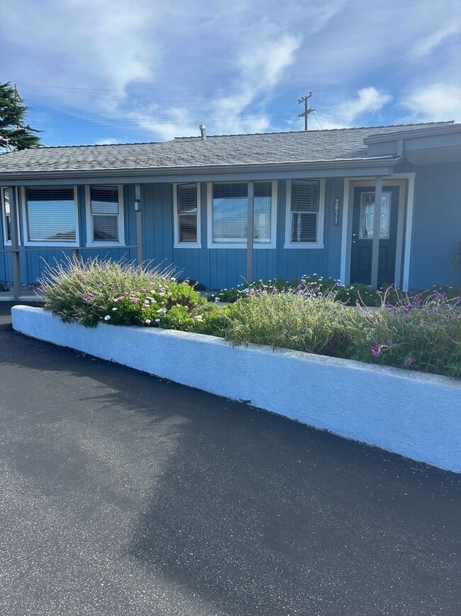 Building Photo - Large one bedroom with ocean views