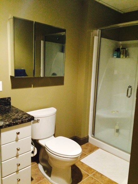 Master Bath - 537 Congress St