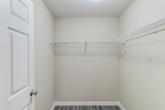 Interior Photo - Southtree Apartments (Southtree LLC)