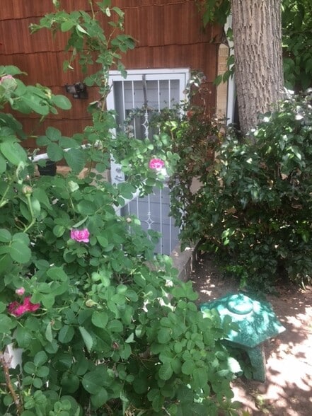 Garden Level - 2010 Meyers Ave