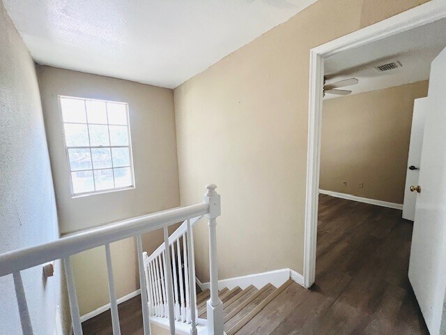 Building Photo - 13238 Rain Lily Ln