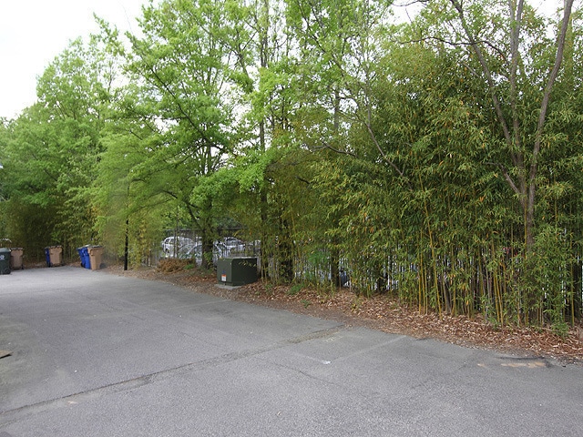 Building Photo - Village District 2-Bedroom Condo - Walkable to Shopping + Dining!