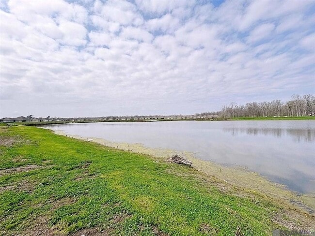 Building Photo - 1237 Drago Dr