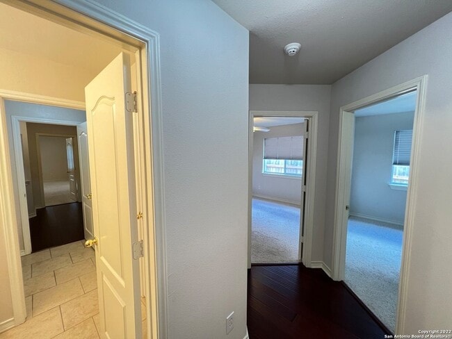 Building Photo - 1303 Bluff Forest