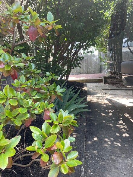 Driveway/entrance to basement - 126 W Front St