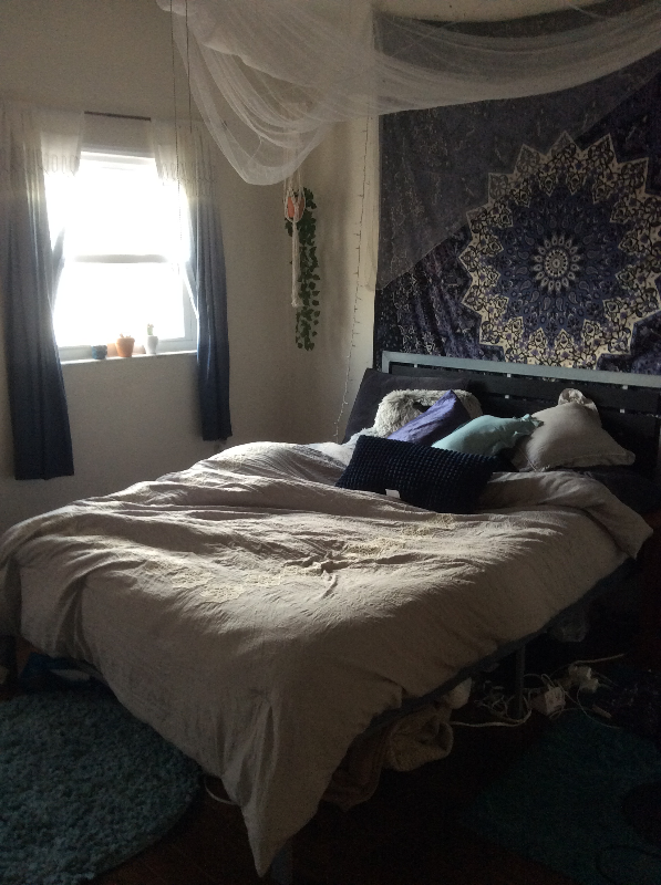 Building Photo - 516 Cato St