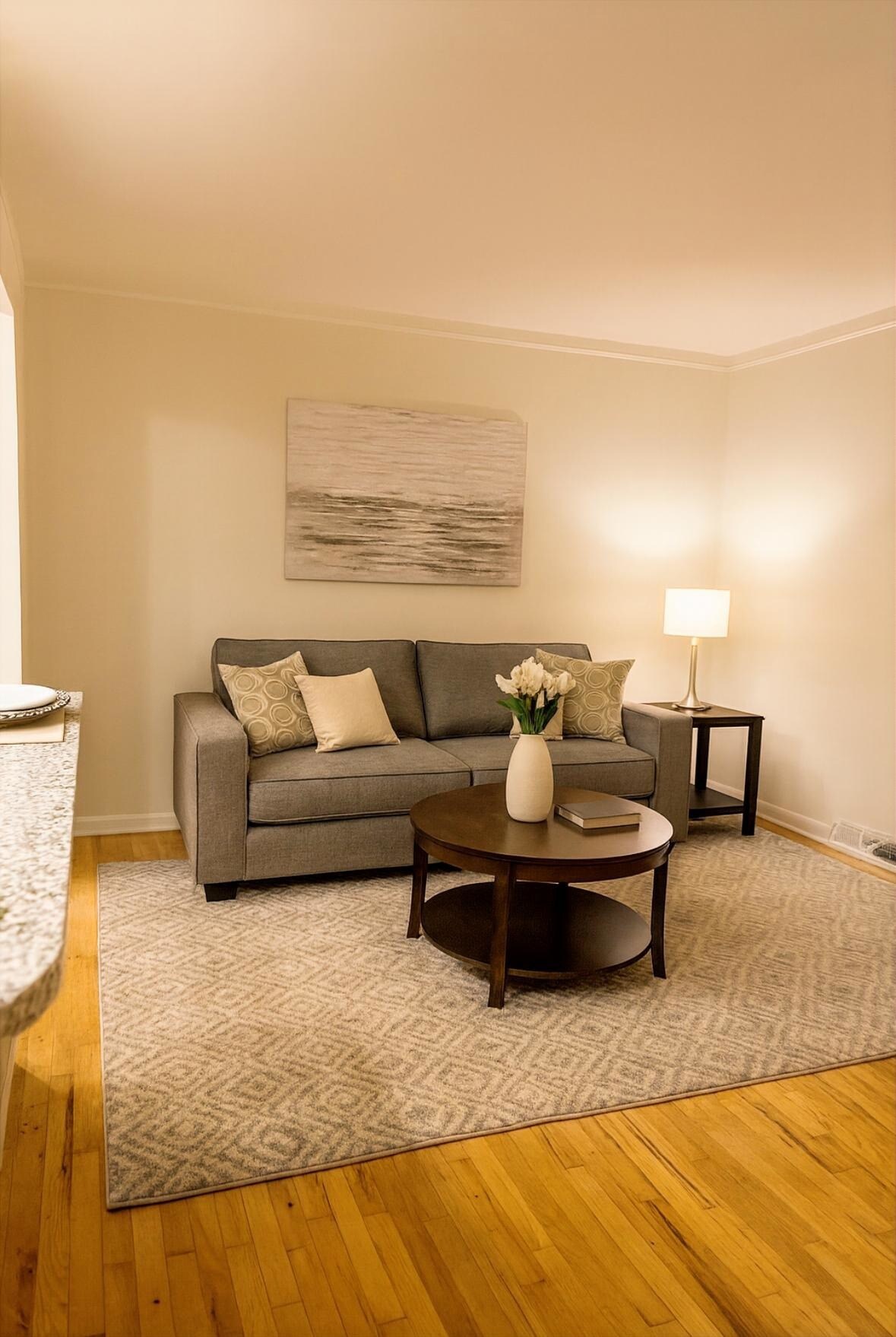 Living Room - 3807 Rochester Rd