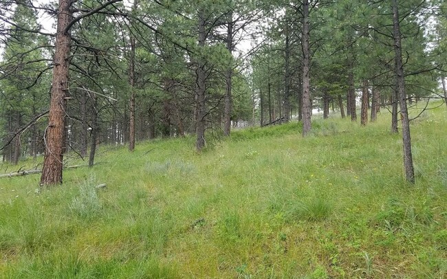 Building Photo - Cozy 1-Bed Cabin on 30 Private Acres – Incredible Views & Outdoor Access