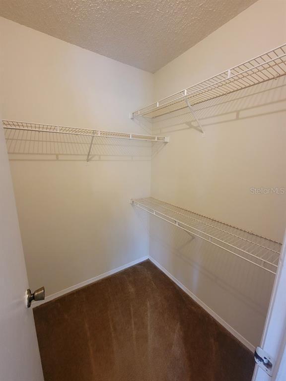 Building Photo - 10024 Strafford Oak Ct