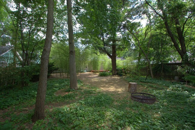 Building Photo - 4-Bedroom 2-Bath Home near Downtown Champa...