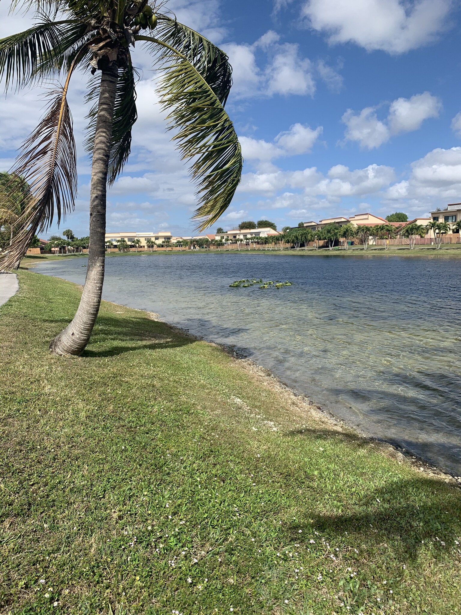 Walking Path - 13566 SW 11th Ln