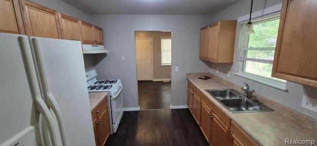 Building Photo - 2443 Hester Ct