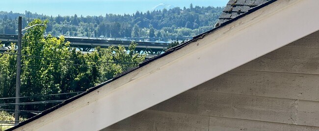 Building Photo - 4015 7th Ave NE