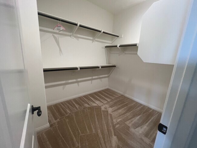 Building Photo - 2404 Sanabria Ln