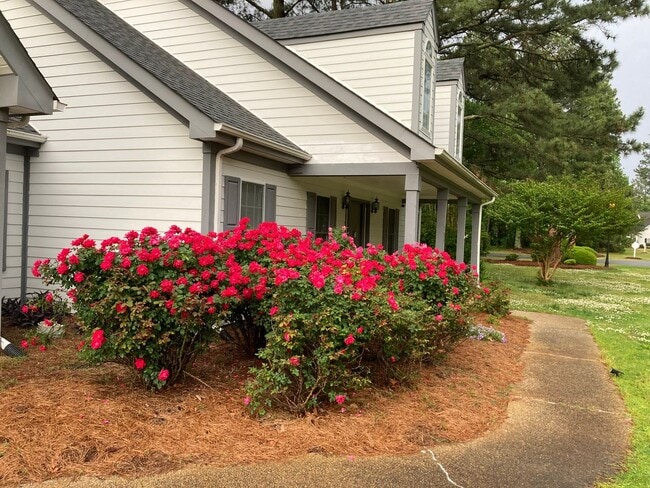 Building Photo - Albemarle Plantation