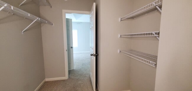Building Photo - 4227 Broomsedge Cir
