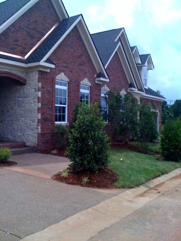 809 Denzil Avenue 809 Denzil Avenue Bowling Green KY 42104