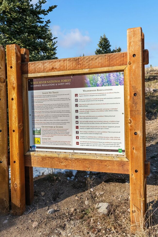 Building Photo - Beautiful Views in Silverthorne