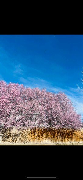 Building Photo - 9867 S Mumford Dr