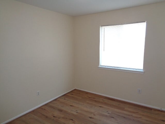 Building Photo - 1838 Strongs Ct