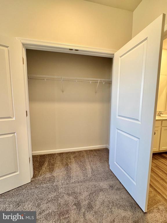 Building Photo - 19 Trout Lily Dr