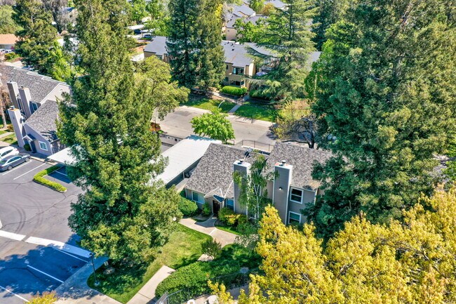Building Photo - 9101 Newhall Dr