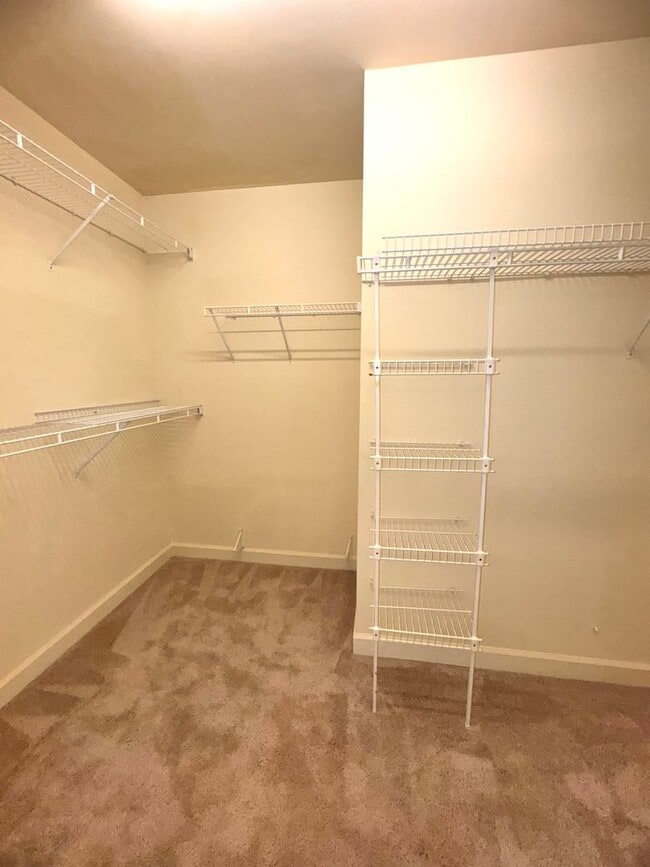 Building Photo - Spacious 4BR 2.5BA Home in Adams Farm with...
