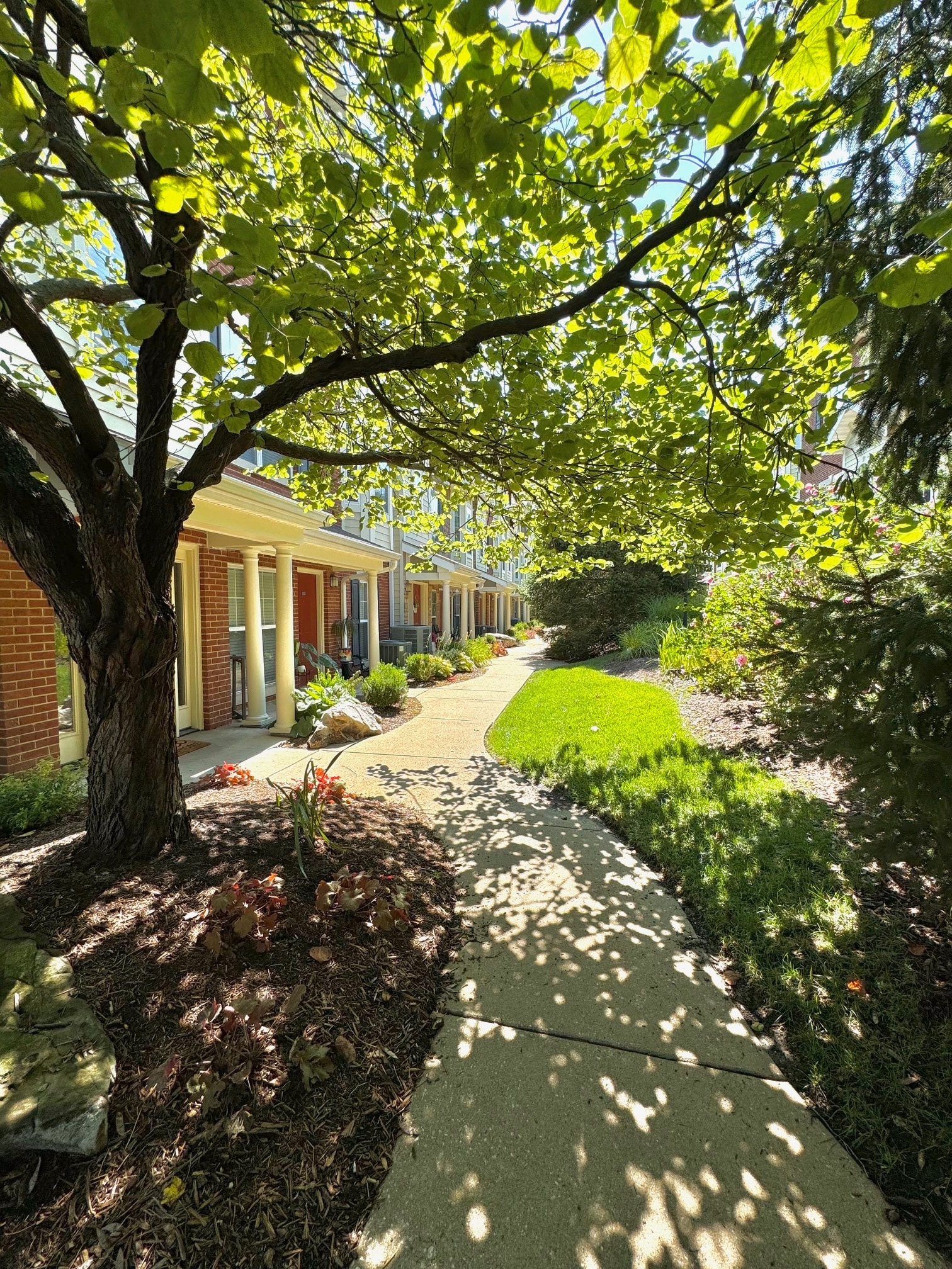 Building Photo - 2638 McKnight Crossing Ct