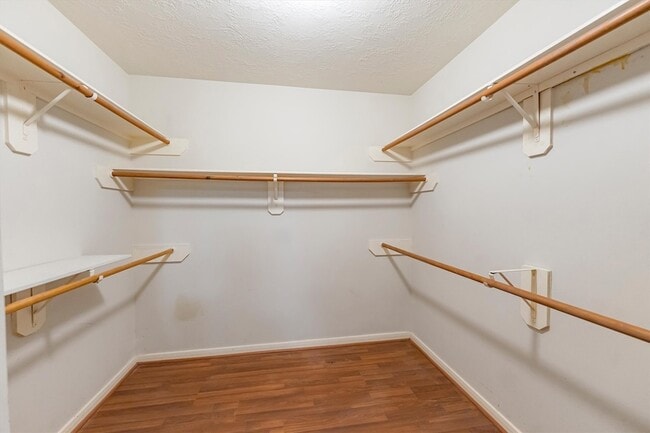 Building Photo - 3227 Candlepine Dr