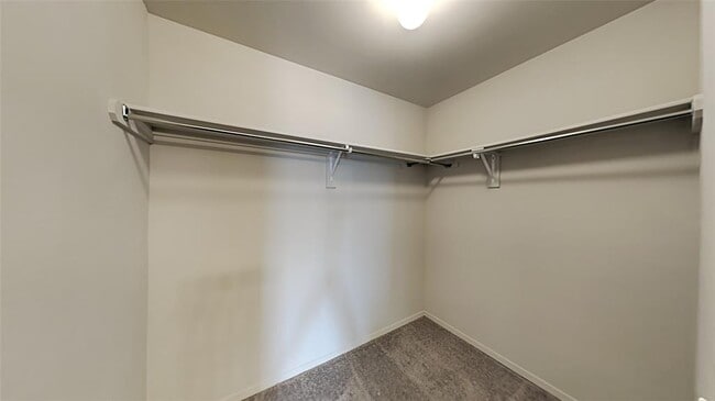 Building Photo - 1809 Jack Rabbit Ln