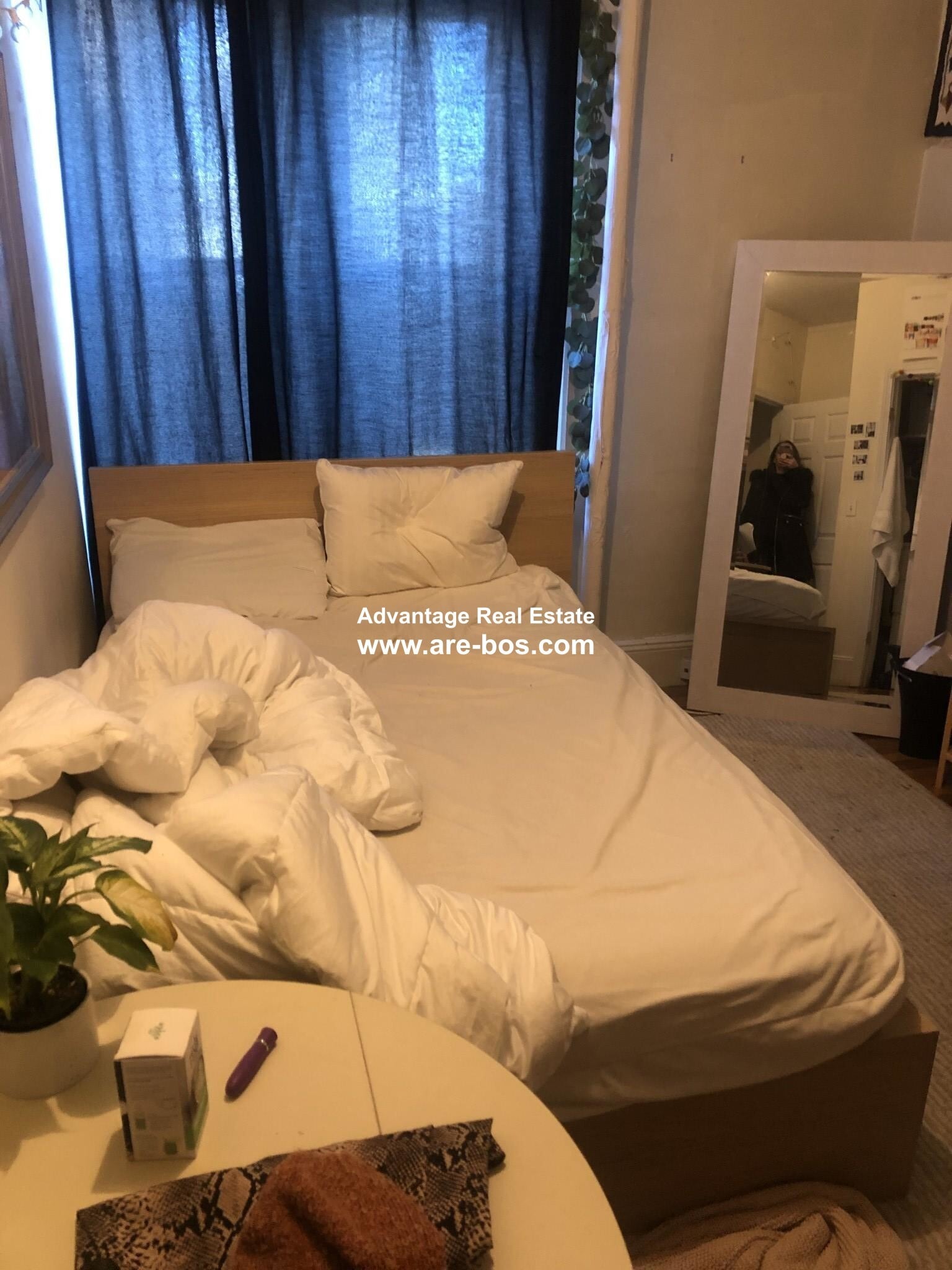 Building Photo - 62 Egmont St