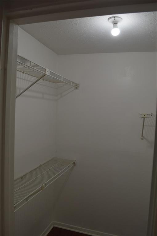 Building Photo - 527 Warm Springs Cir