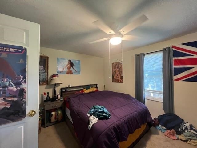 Building Photo - 803 Noblin St