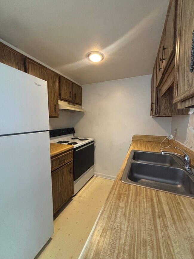Building Photo - Cute One Bedroom in Norview Heights