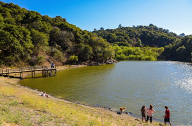 Building Photo - Alameda Apartments