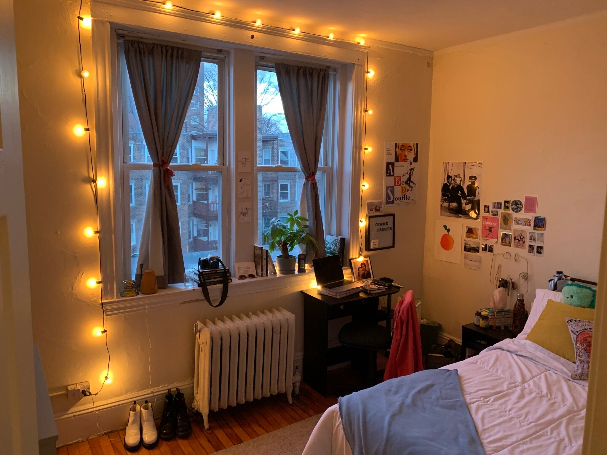 Building Photo - 62 Egmont St